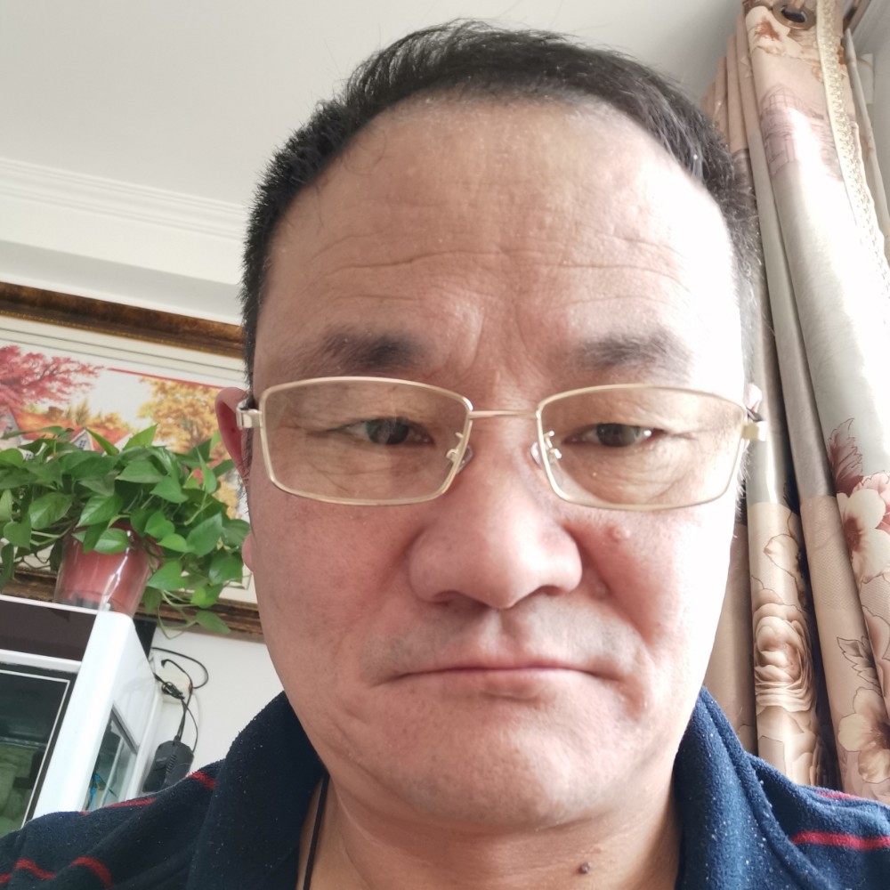 玫瑰就独特的照片