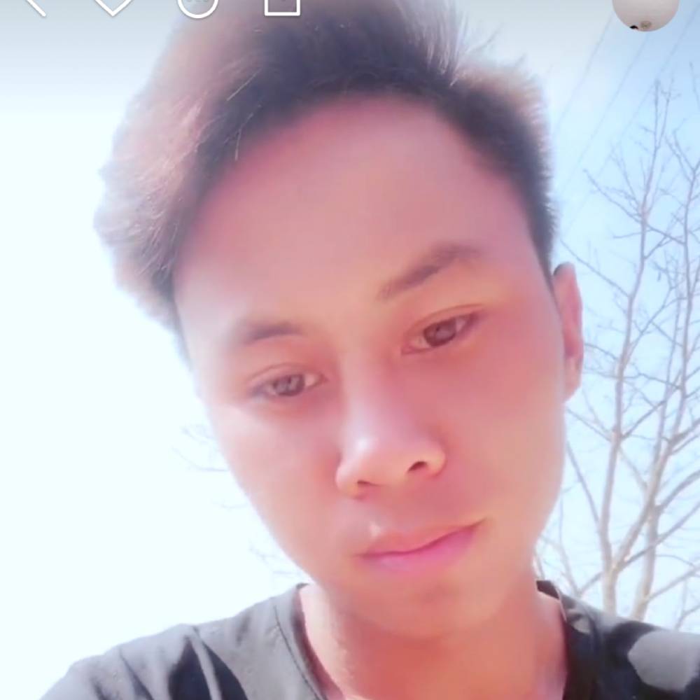 可否依恋的照片