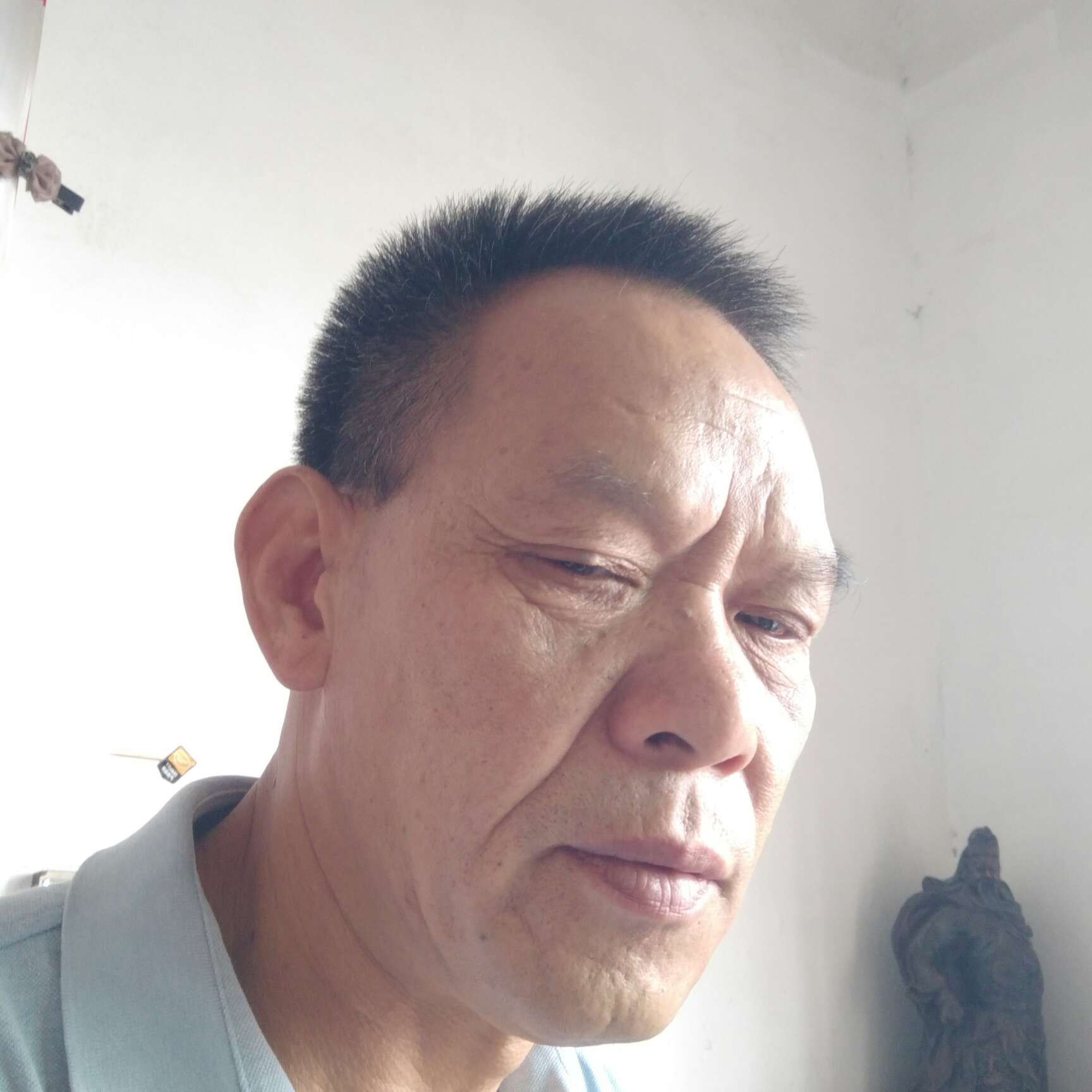 中心停止外向的照片