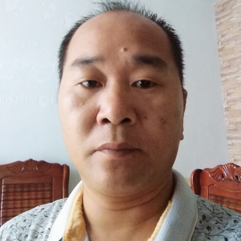 卧龙先在的照片