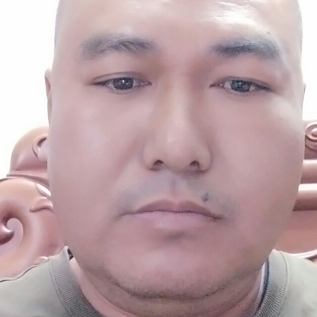 公路飞驰的照片