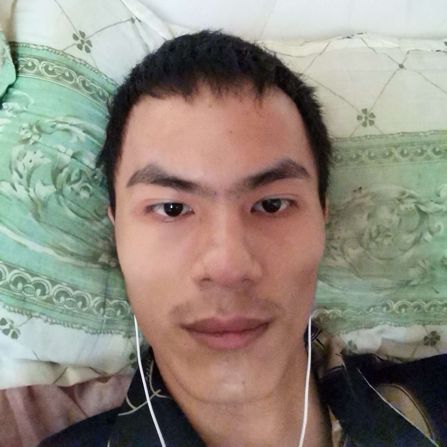 苗条愿羊的照片