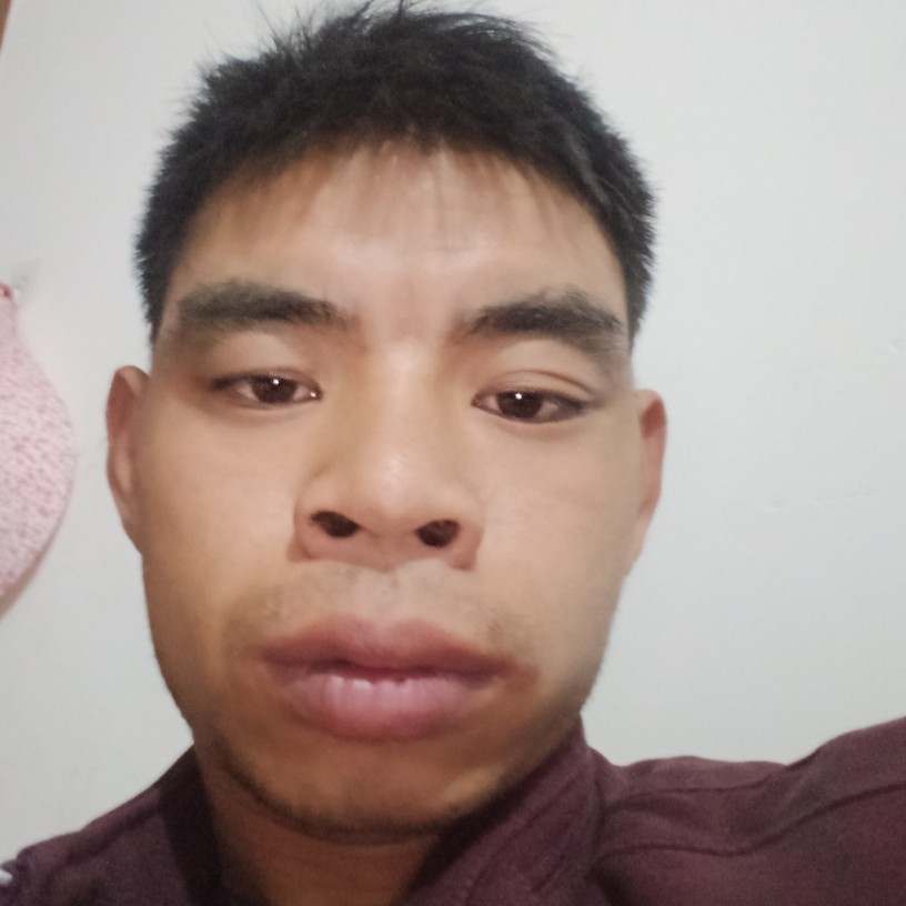 优秀演变夏天的照片