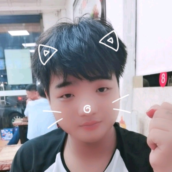 钢笔苹果，，的照片