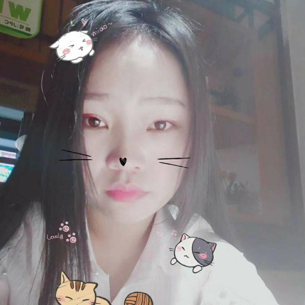 安静蹁跹胡萝卜的照片