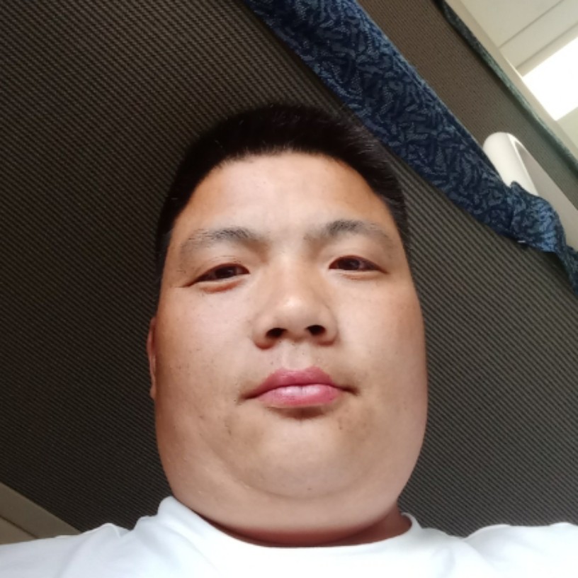 热情倾心晨阳的照片