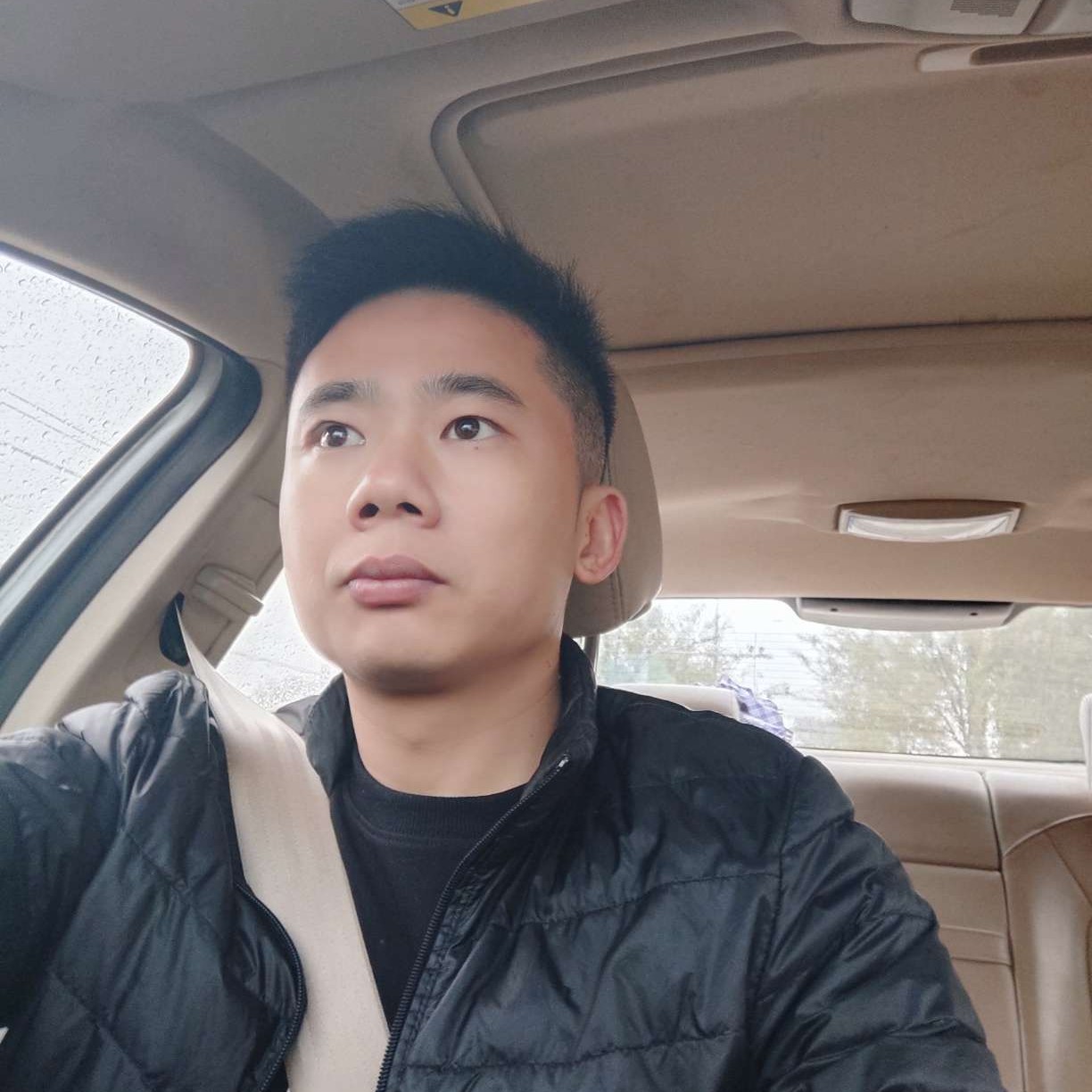 猎豹邂逅错落的照片