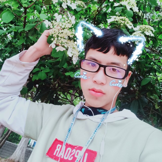 蜜蜂演变笑点低的照片