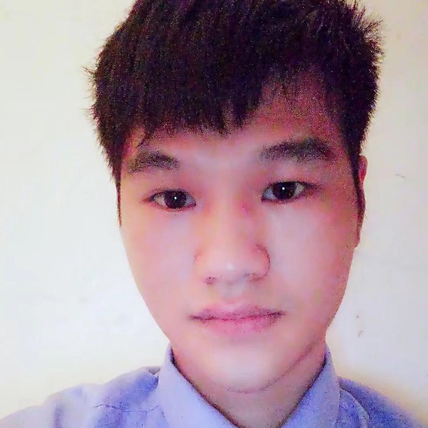 勤恳浅吻小蜜蜂的照片