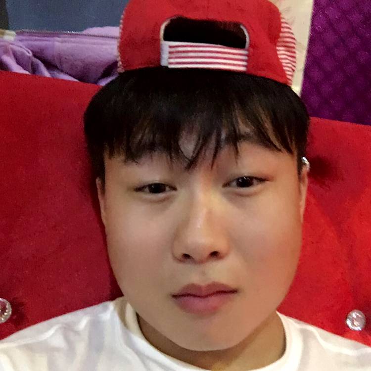 城南花开了的照片