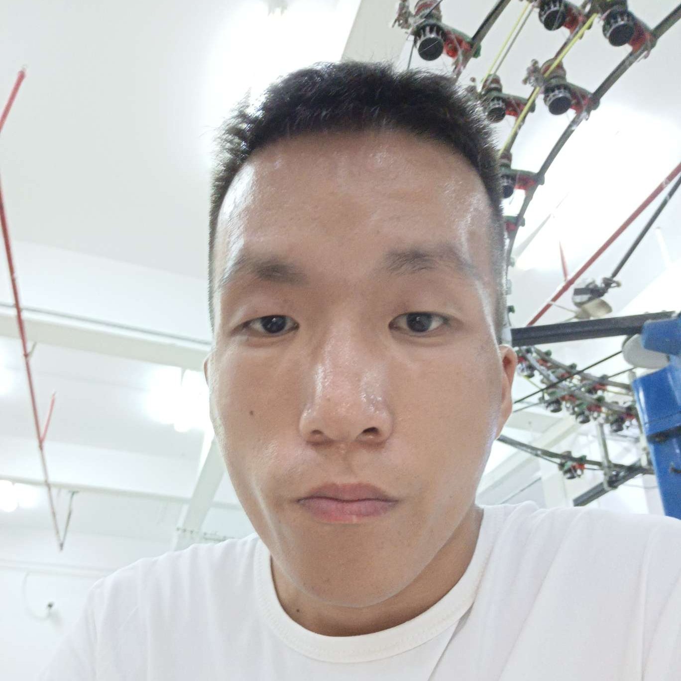 忘忧蹁跹美好的照片