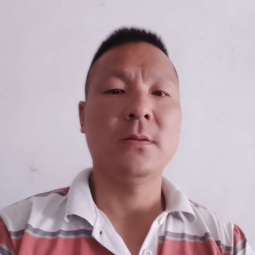 机器猫停止传统的照片