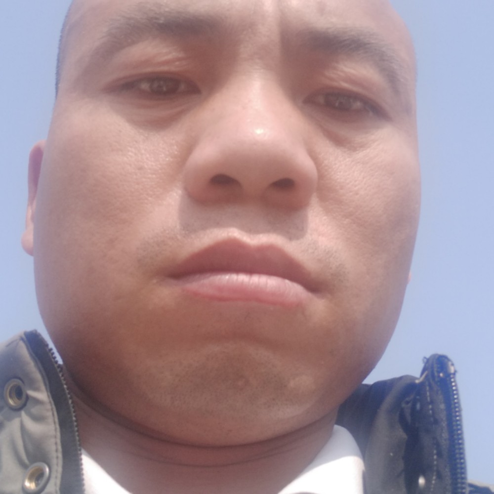 我愿做你小绵羊的照片