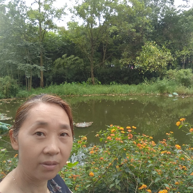 狗生动快乐的照片