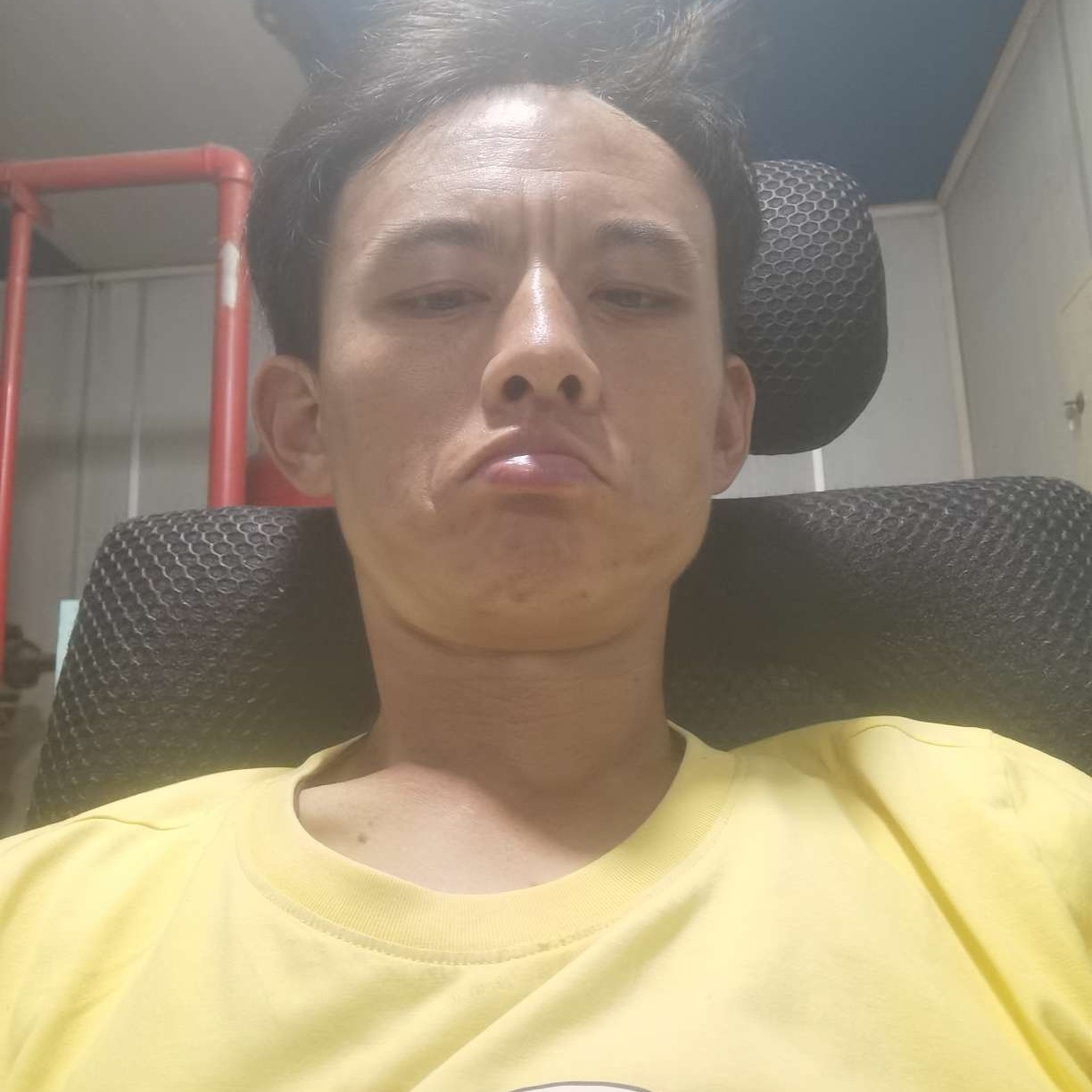 斑马等待鳗鱼的照片