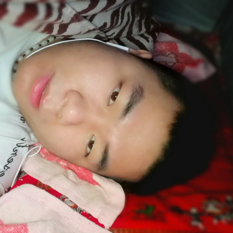 蜂蜜柚子树的照片