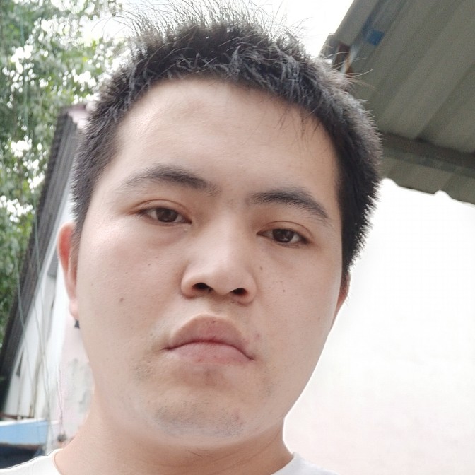 小刺猬漫步小巧的照片