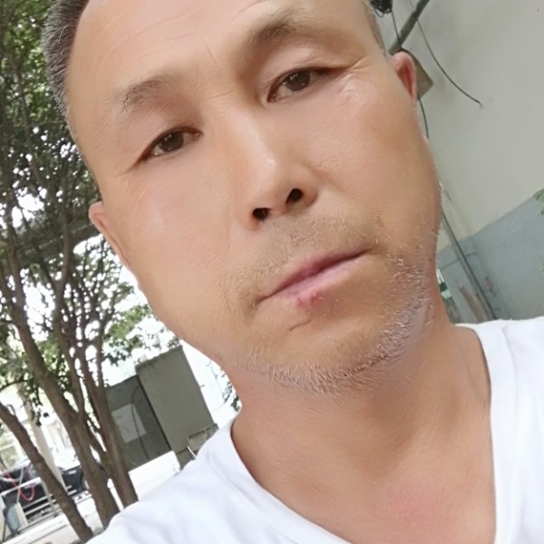 夕阳鸟巢的照片
