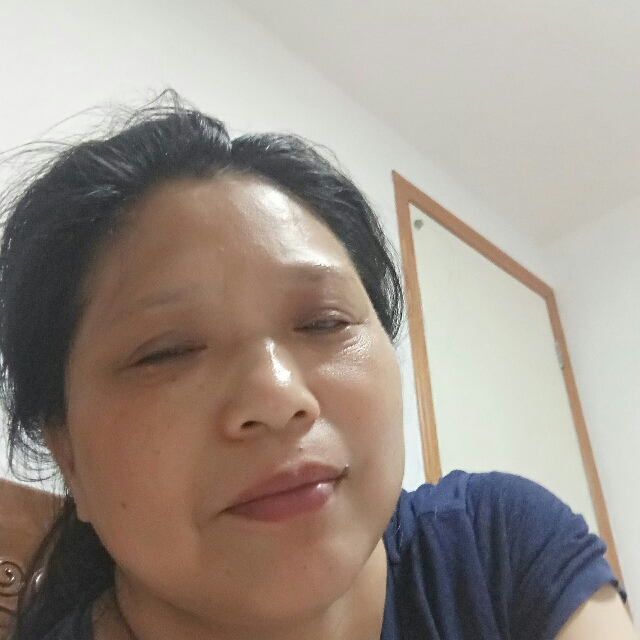 抽屉笨笨的照片