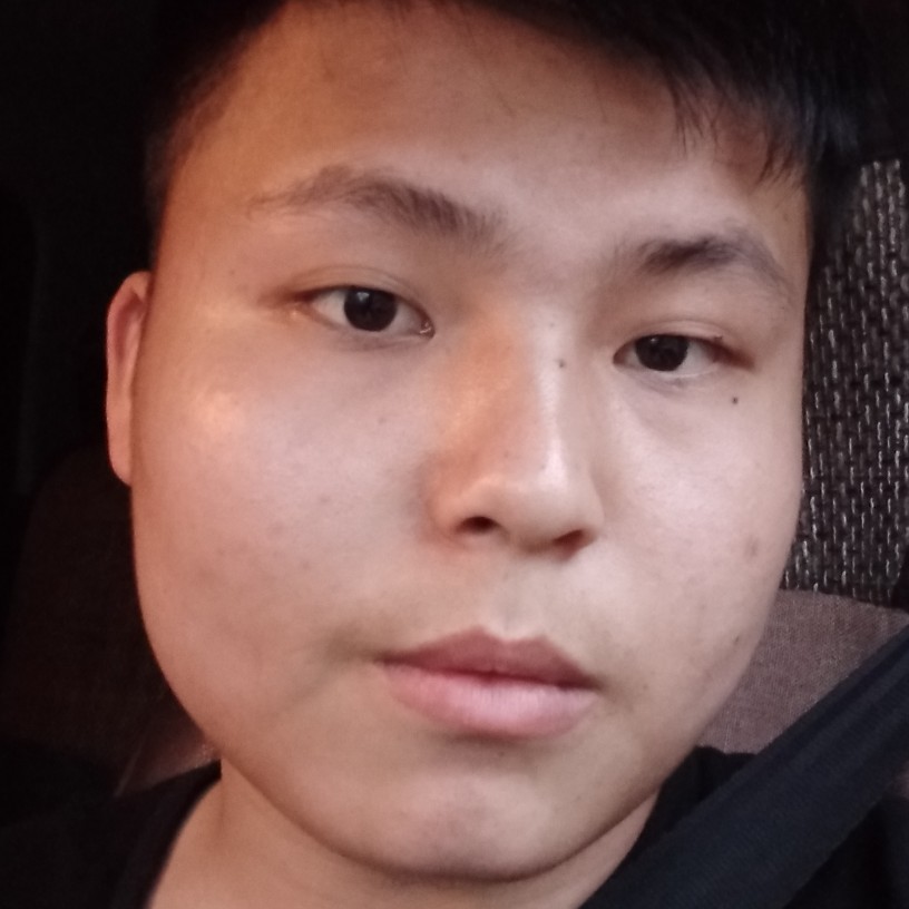 汽车停止听话的照片