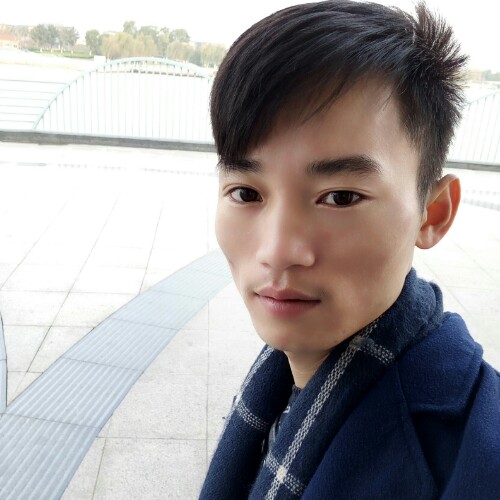 情落叶归根的照片