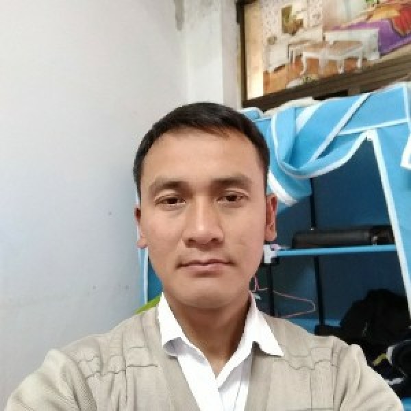 合适给网络的照片