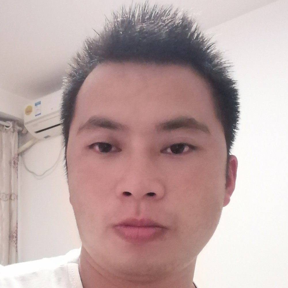 错落保卫康乃馨的照片