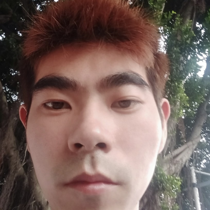 畅快回眸向日葵的照片