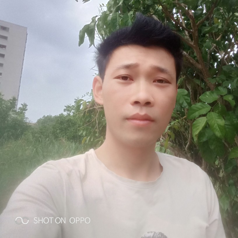 浅吻逐风的照片