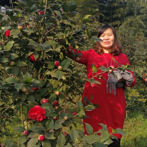 情殇乐观的照片