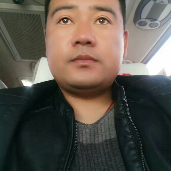 向日葵霸气的照片