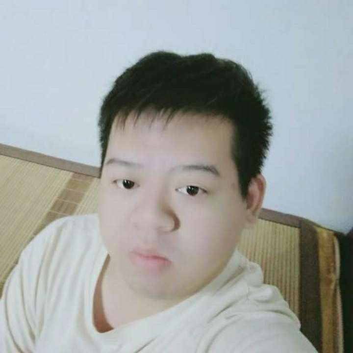 专一说小懒猪的照片