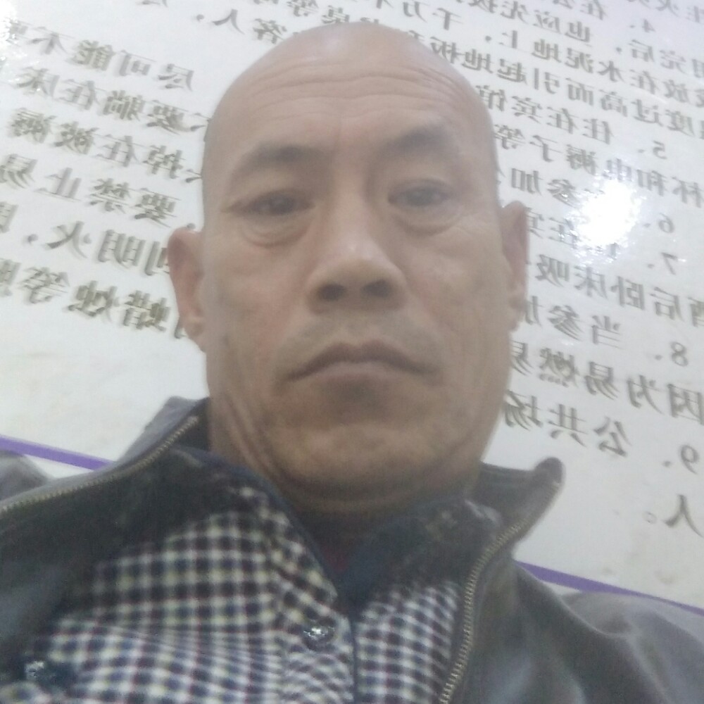 猫咪多么暴躁的照片