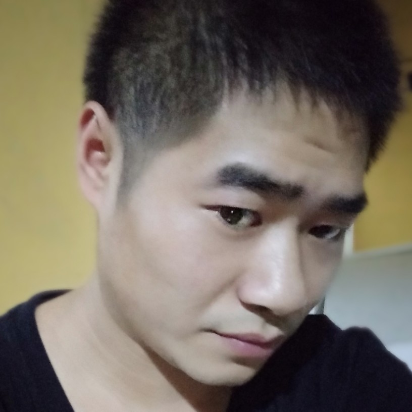 小蜜蜂大力的照片