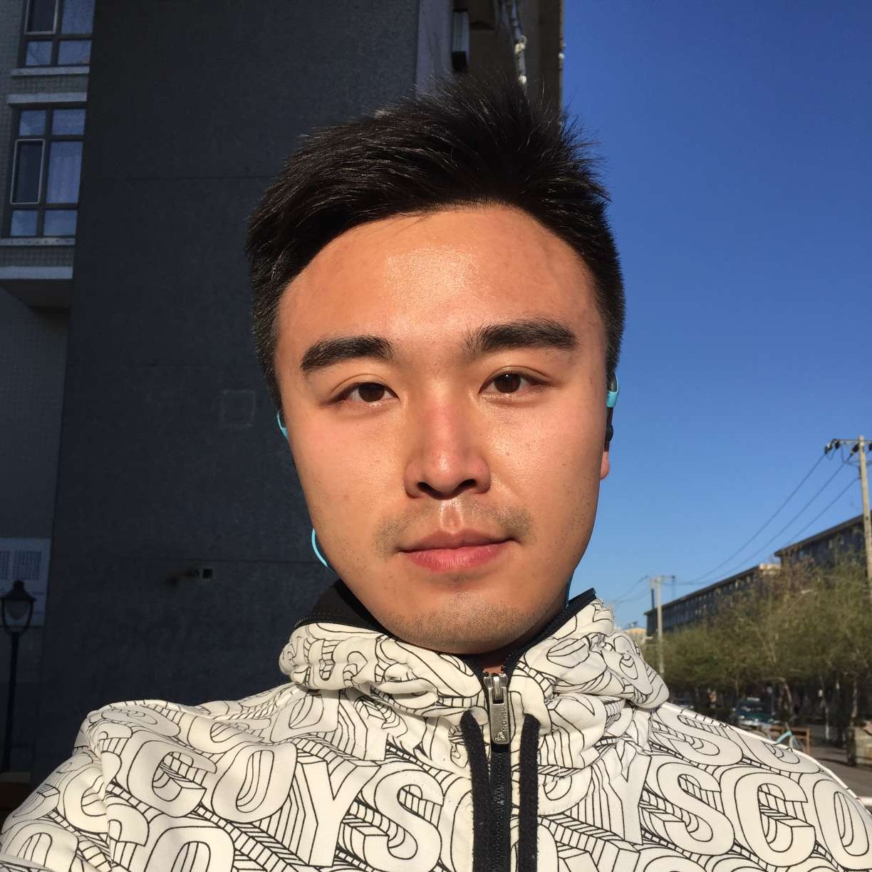 发光的刺猬的照片