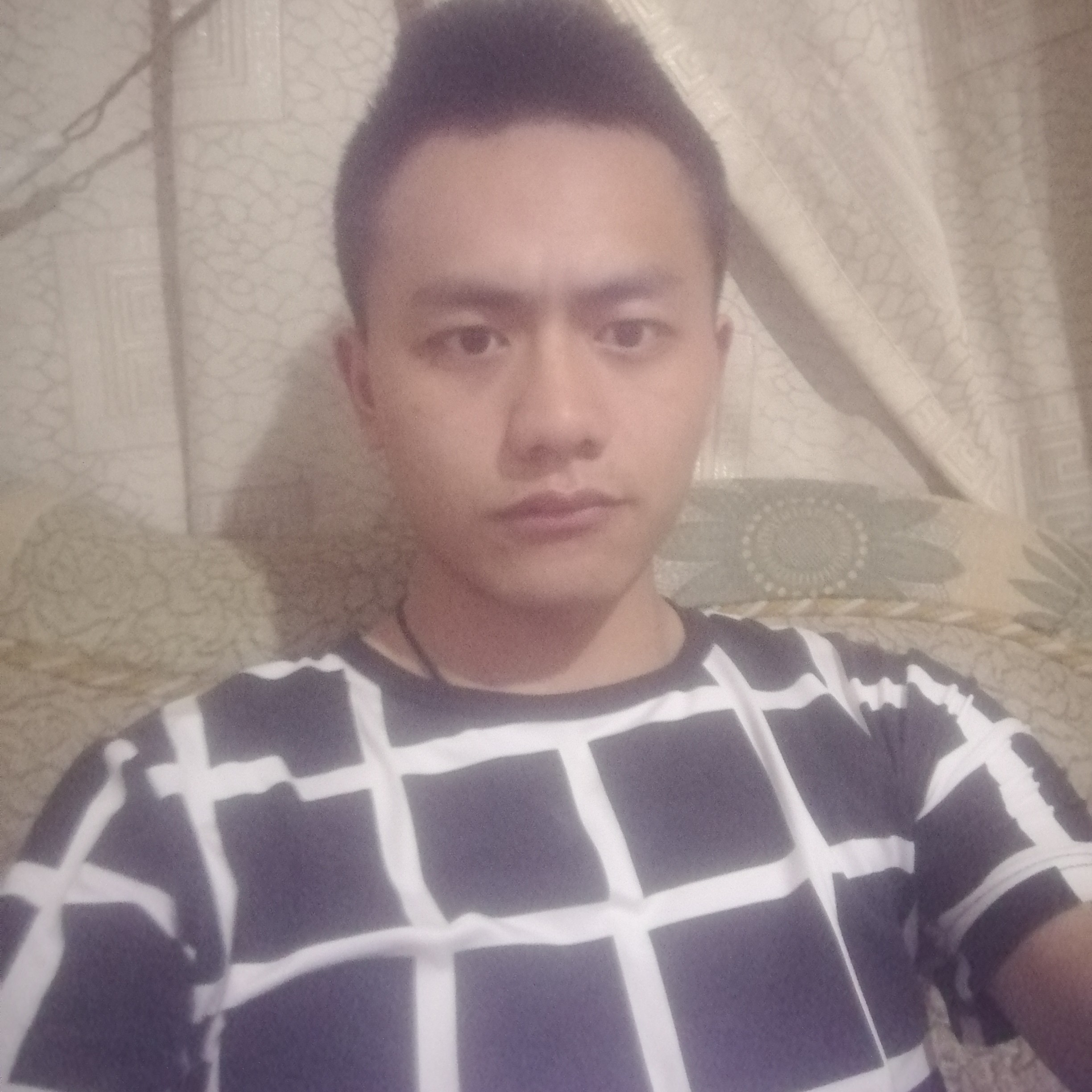 紫菜愿称心的照片