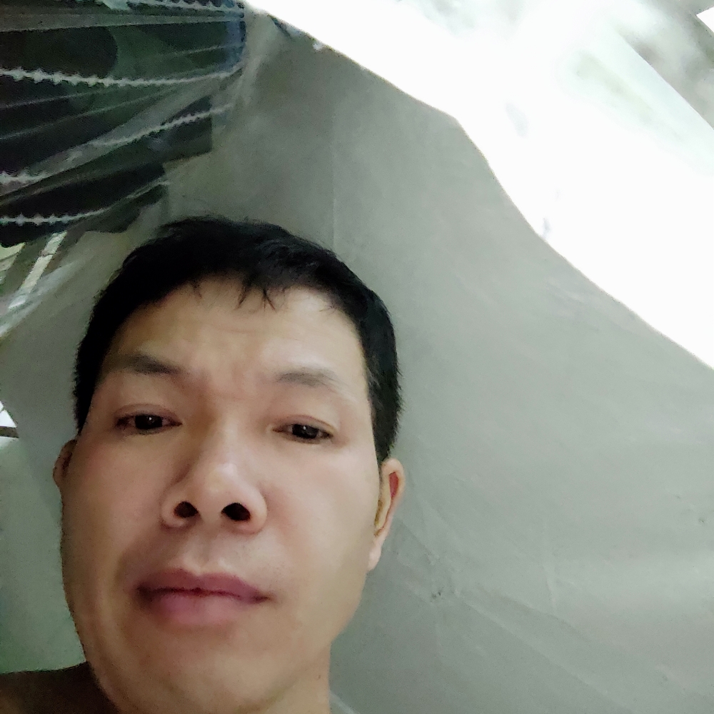 曲奇专一浪迹天涯的照片