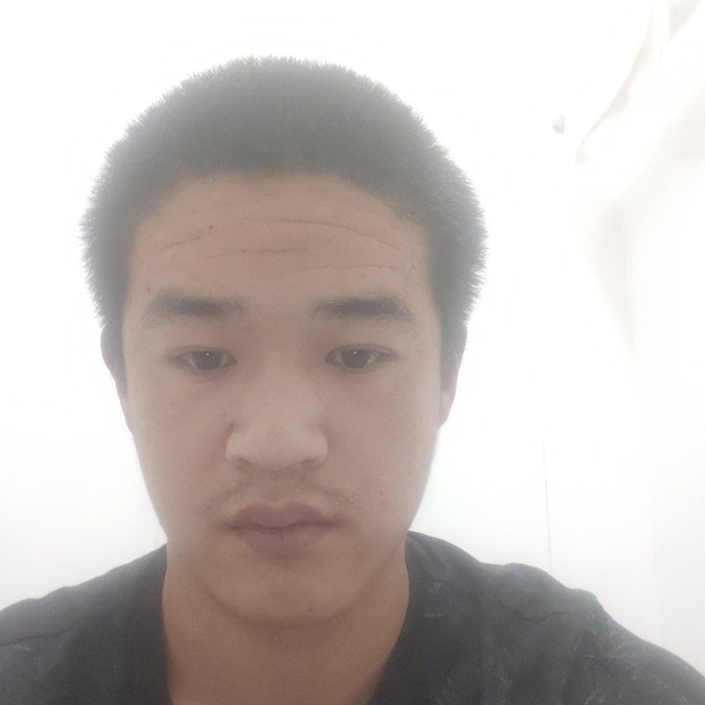 坚强深拥大雁的照片