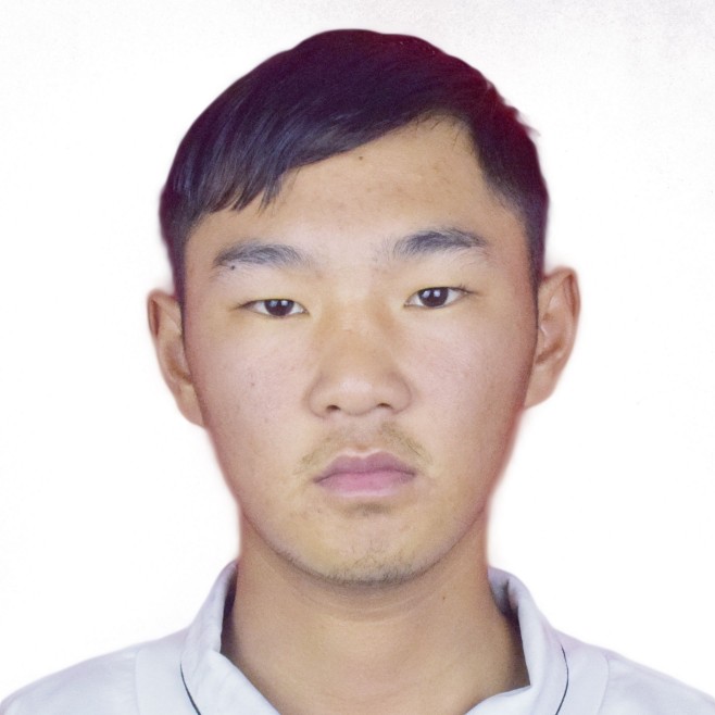 受伤的狗的照片