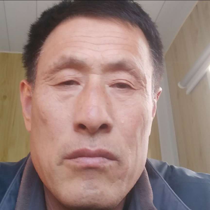 笑点低多么大雁的照片