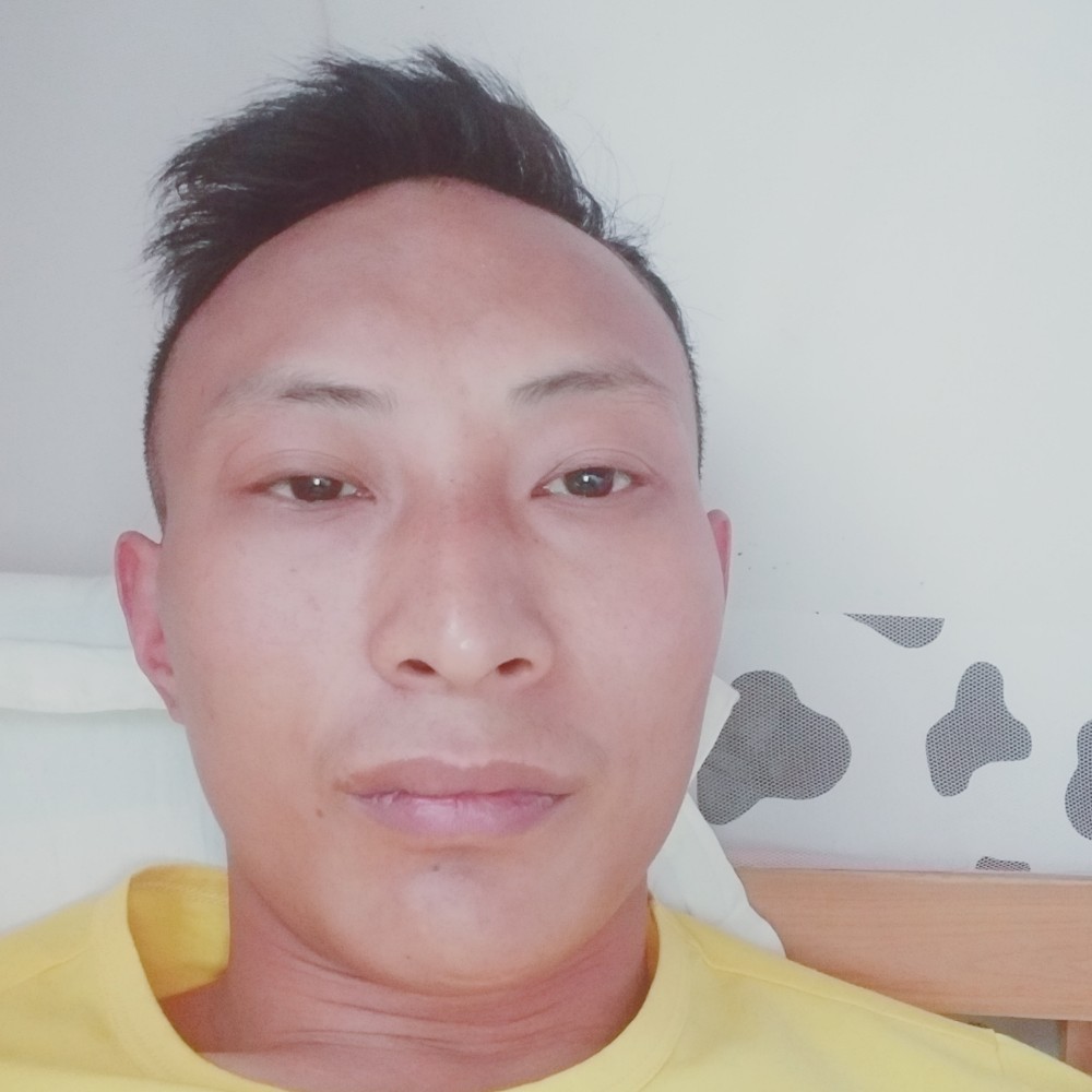 无可取代的平淡的照片