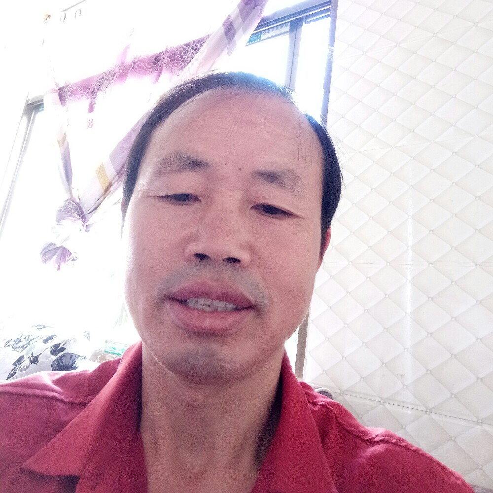 余港湾的照片