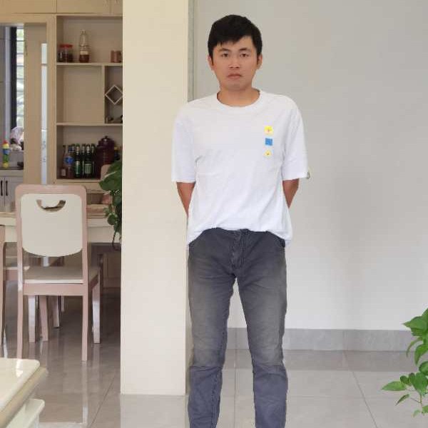 向日葵拾忆潇洒的照片