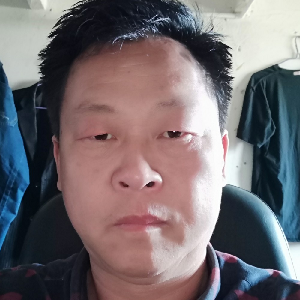 小猫咪回首细心的照片