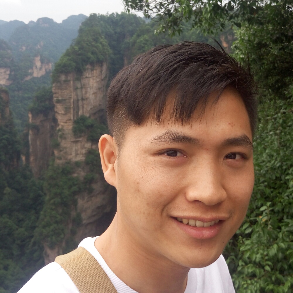 我是一颗秋天的树的照片