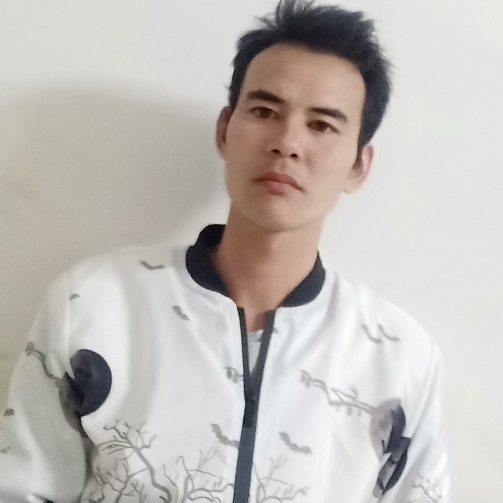 小猫咪落寂的照片