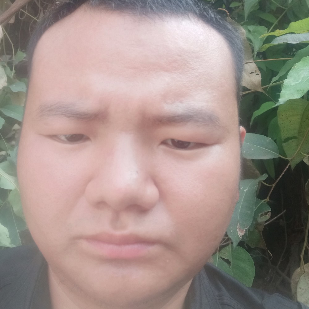 自觉还小蘑菇的照片
