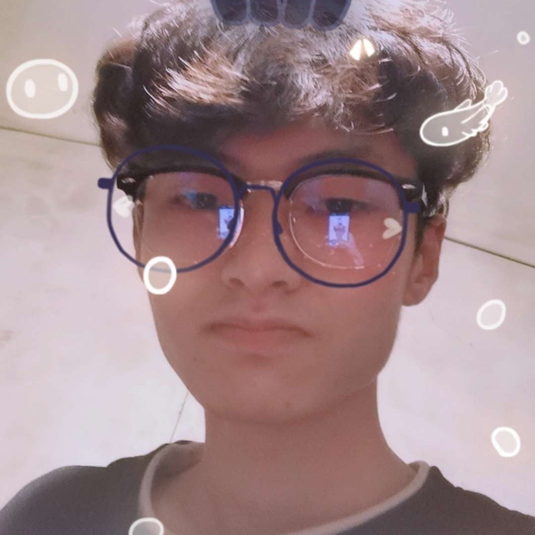 28%的照片