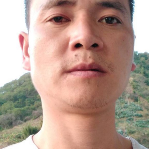 阿方哥的照片