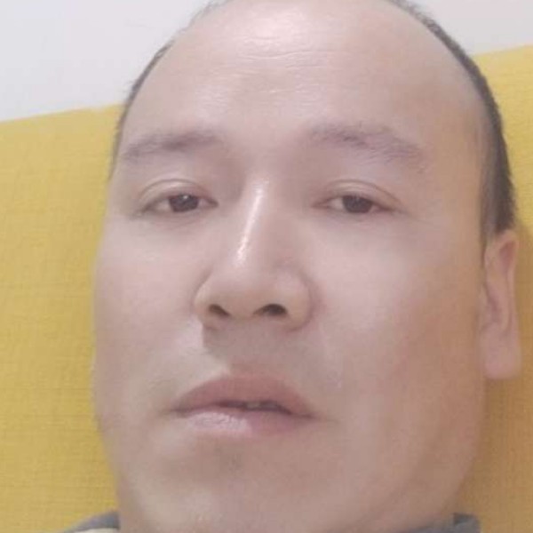 无心愿小蜜蜂的照片